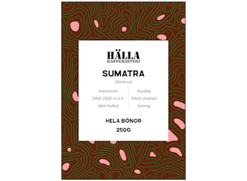 1000g - Sumatra, Indonesien