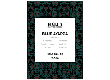 1000g - Guatemala, Blue Ayarza - Mellanrost