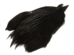 Future Fly - American Rooster Cape