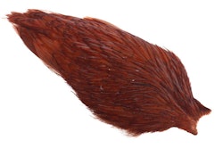 Whiting - American Rooster Cape