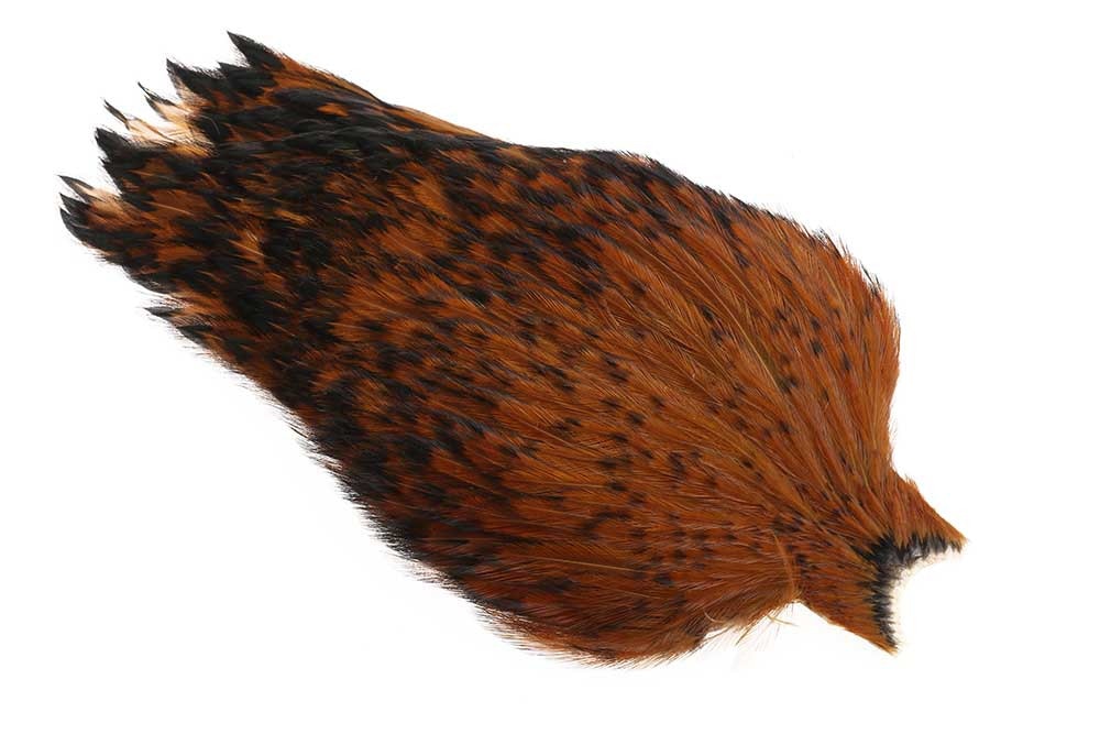 Whiting - American Rooster Cape