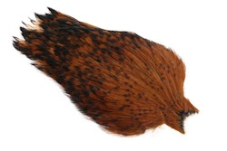 Whiting - American Rooster Cape