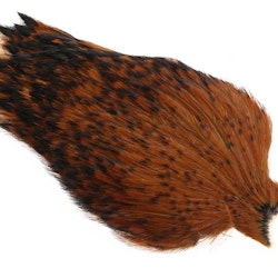 Whiting - American Rooster Cape