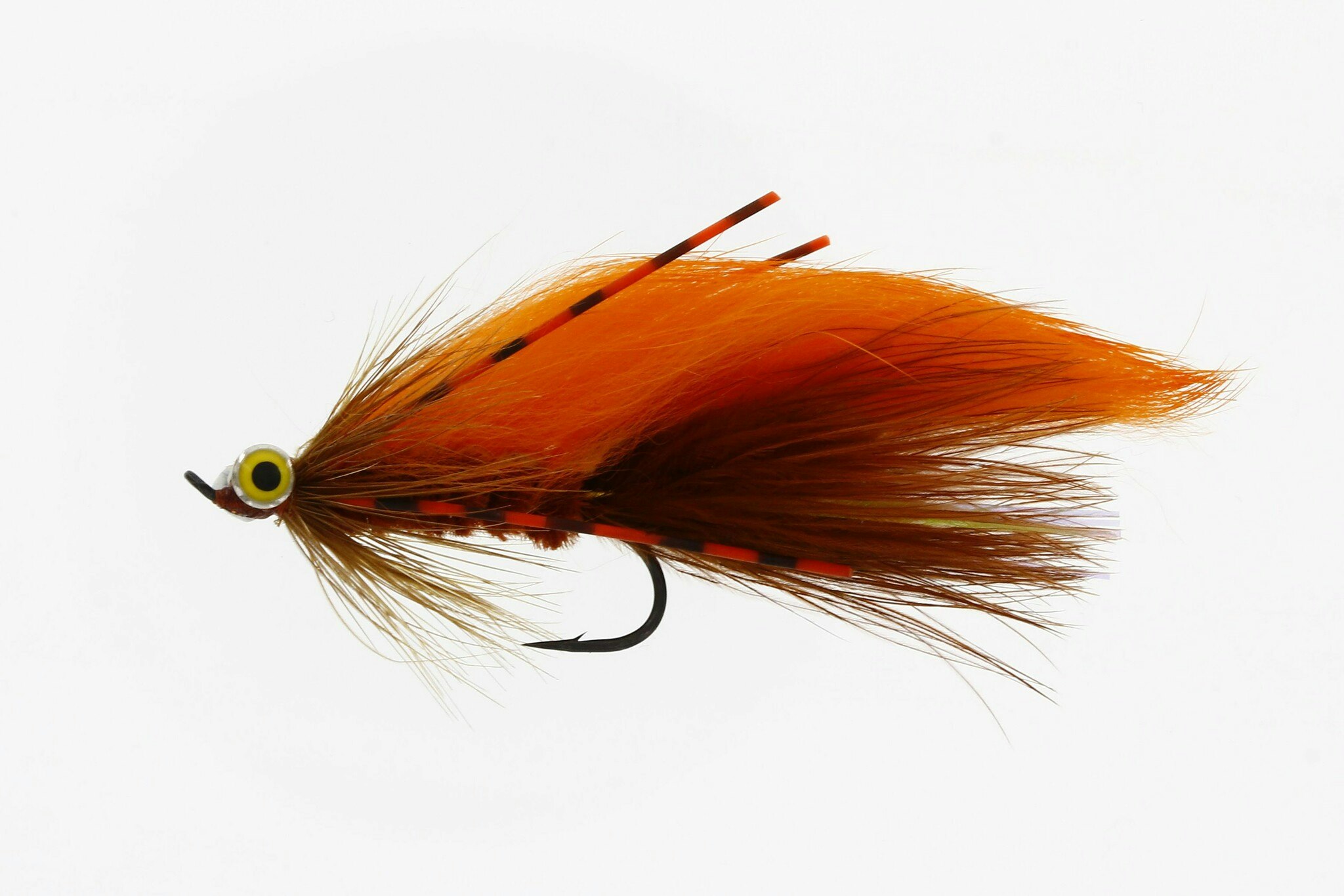 Zonky Brown/Orange #6