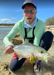 Clouser 2/0 Chartreuse/ White