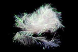 Palmer Chenille Medium