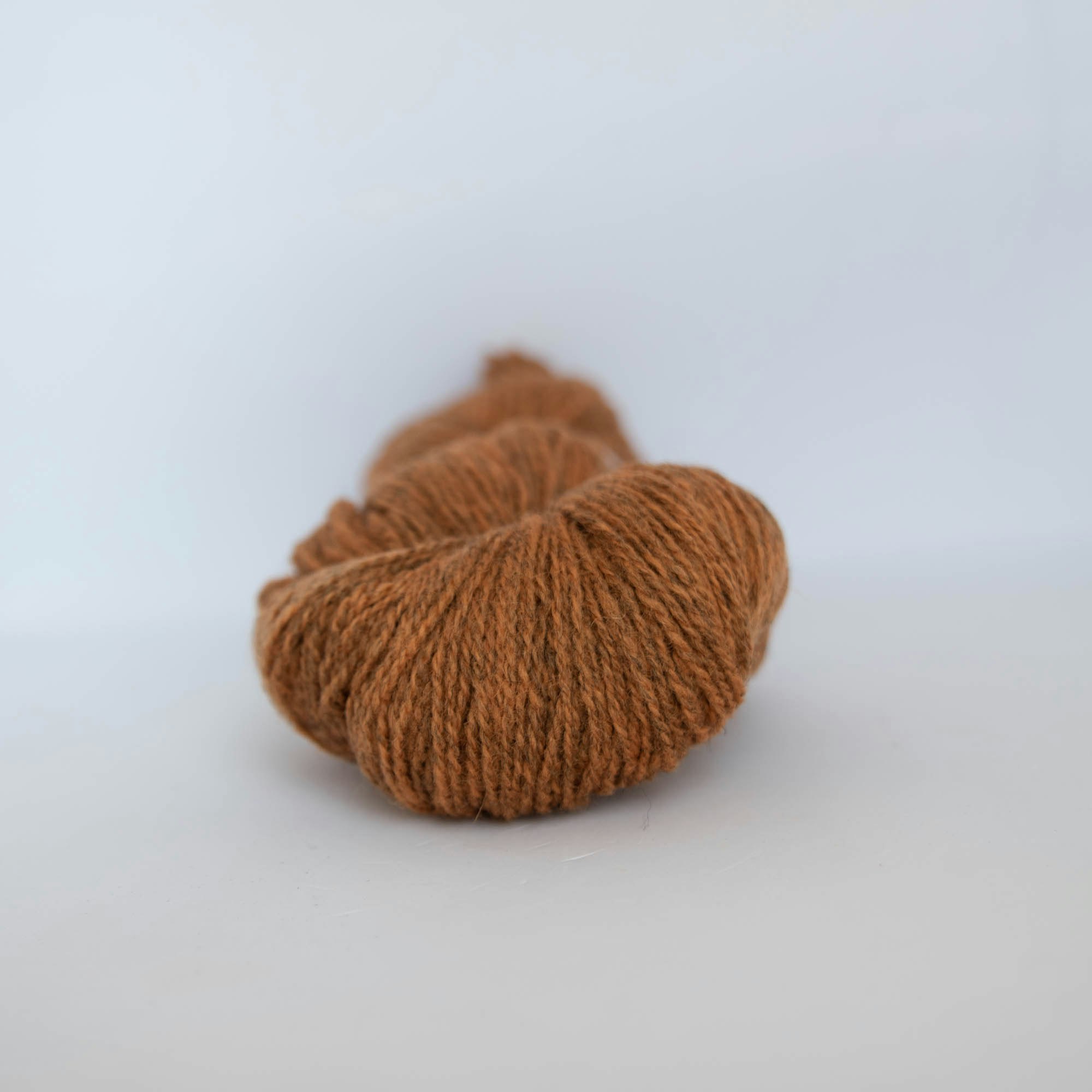 Ask Ullgarn - Melert Oker - 6533