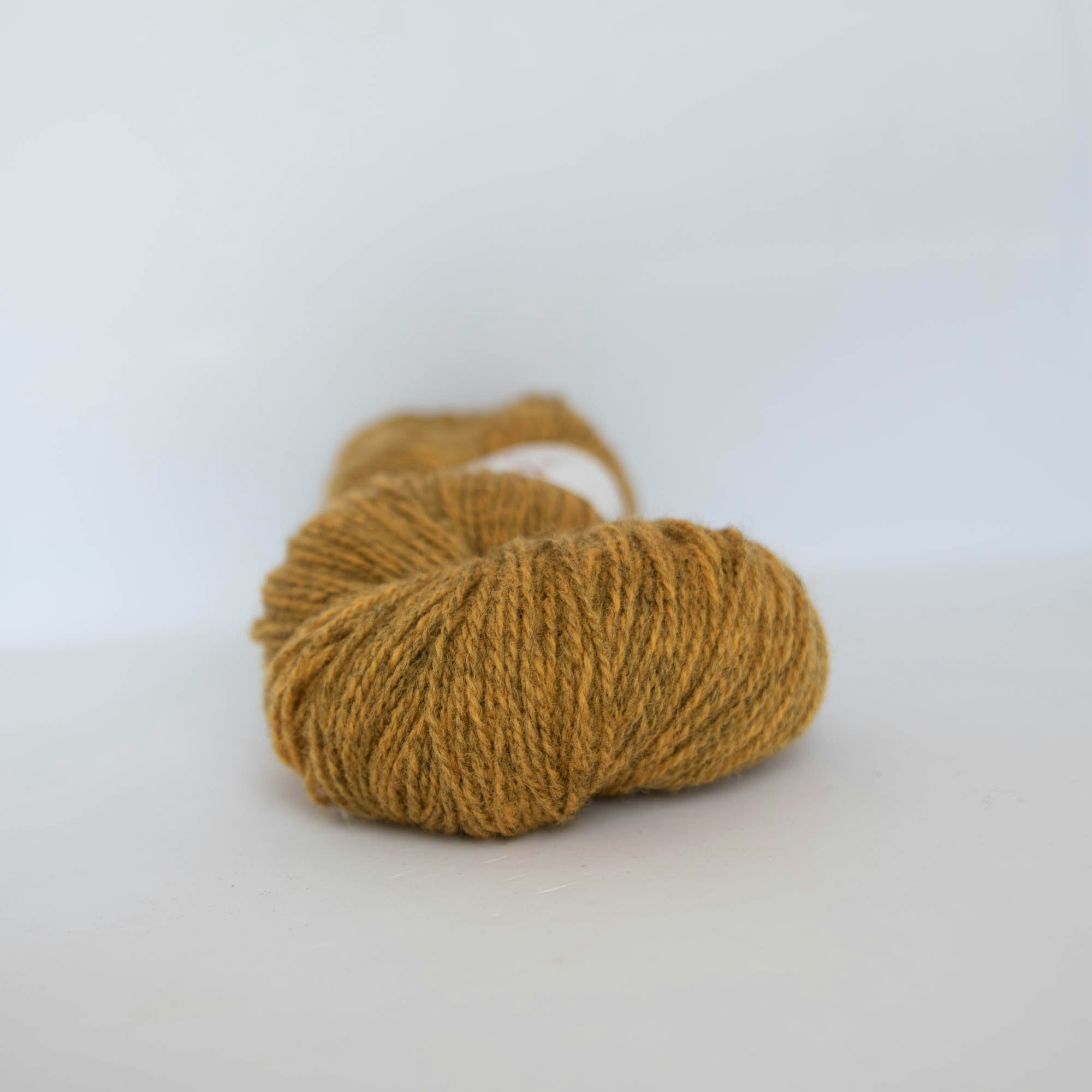 Ask Ullgarn - Melert Maisgul -  6502