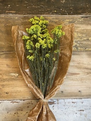 Diosmi Rice Flower, gul 100gr - Konserverade blommor & blad - Frera Design
