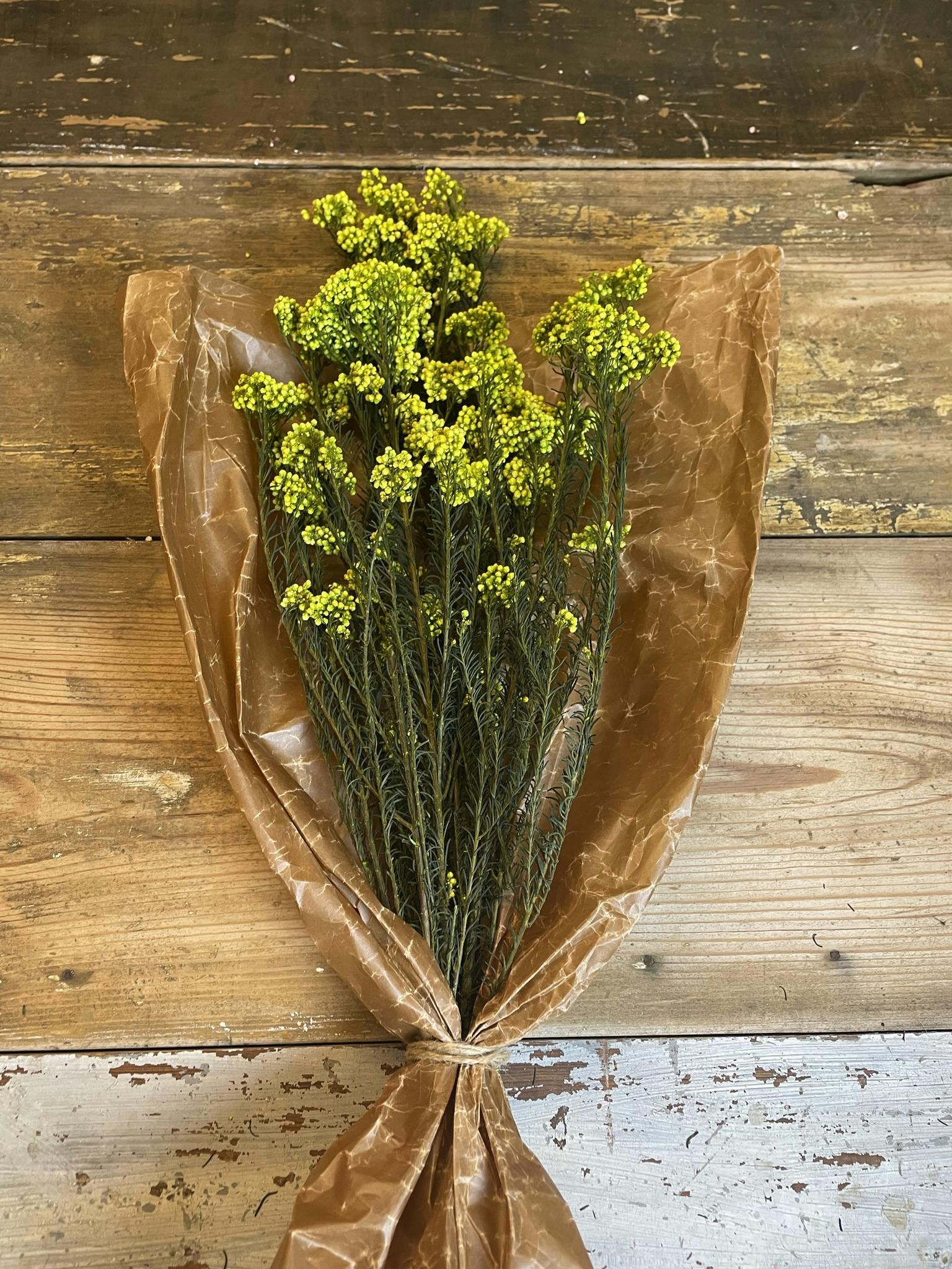 Diosmi Rice Flower, gul 100gr - Konserverade blommor & blad