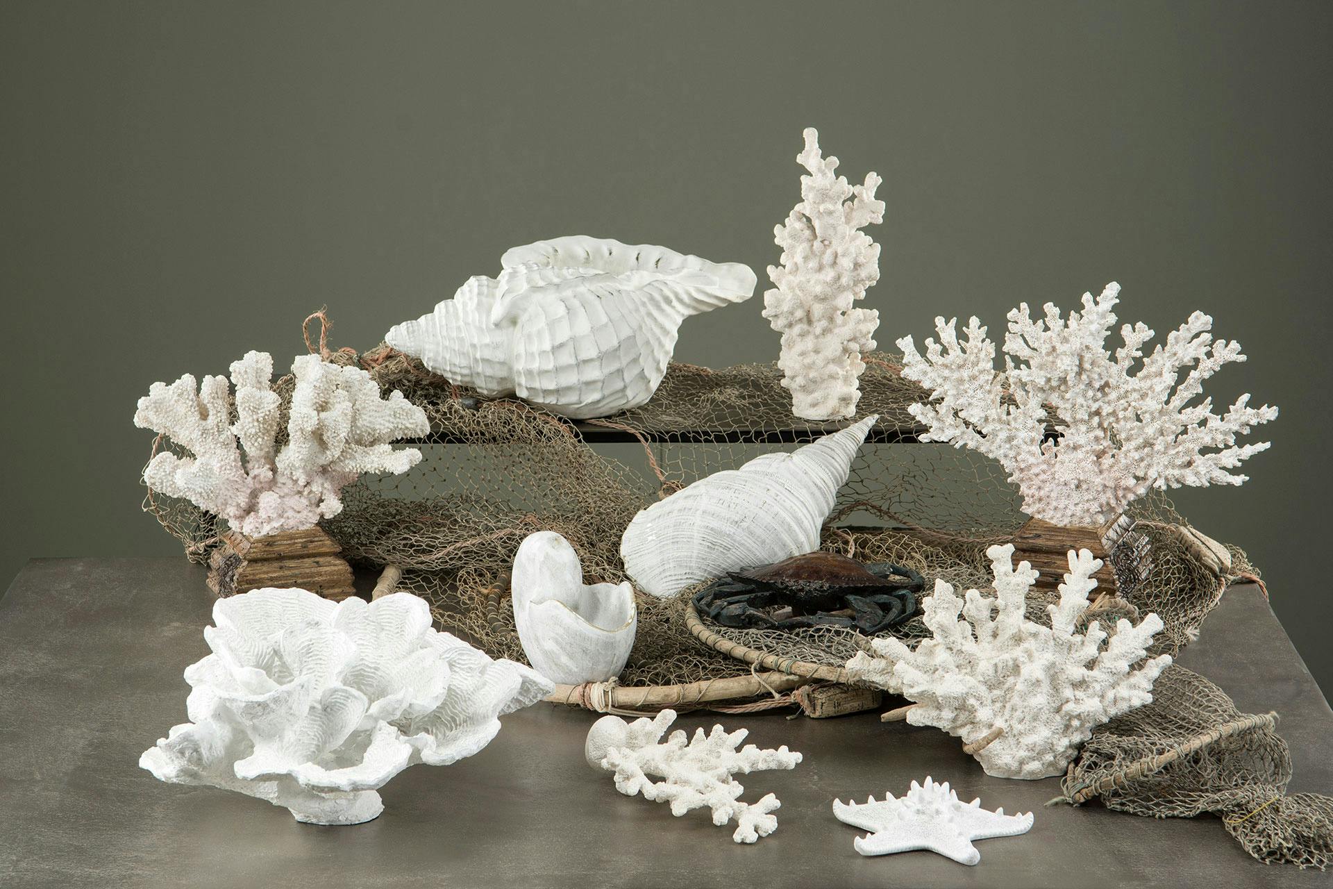 Vit korall, hög - Alot decoration