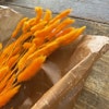 Lagurus Rabbit tail Orange 50gr - Torkade blommor