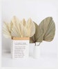 Stora Palmblad 2-pack Vita - Torkade blommor - Frera Design