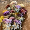 Krysantemum mix 20-pack - Torkade blommor - Frera Design