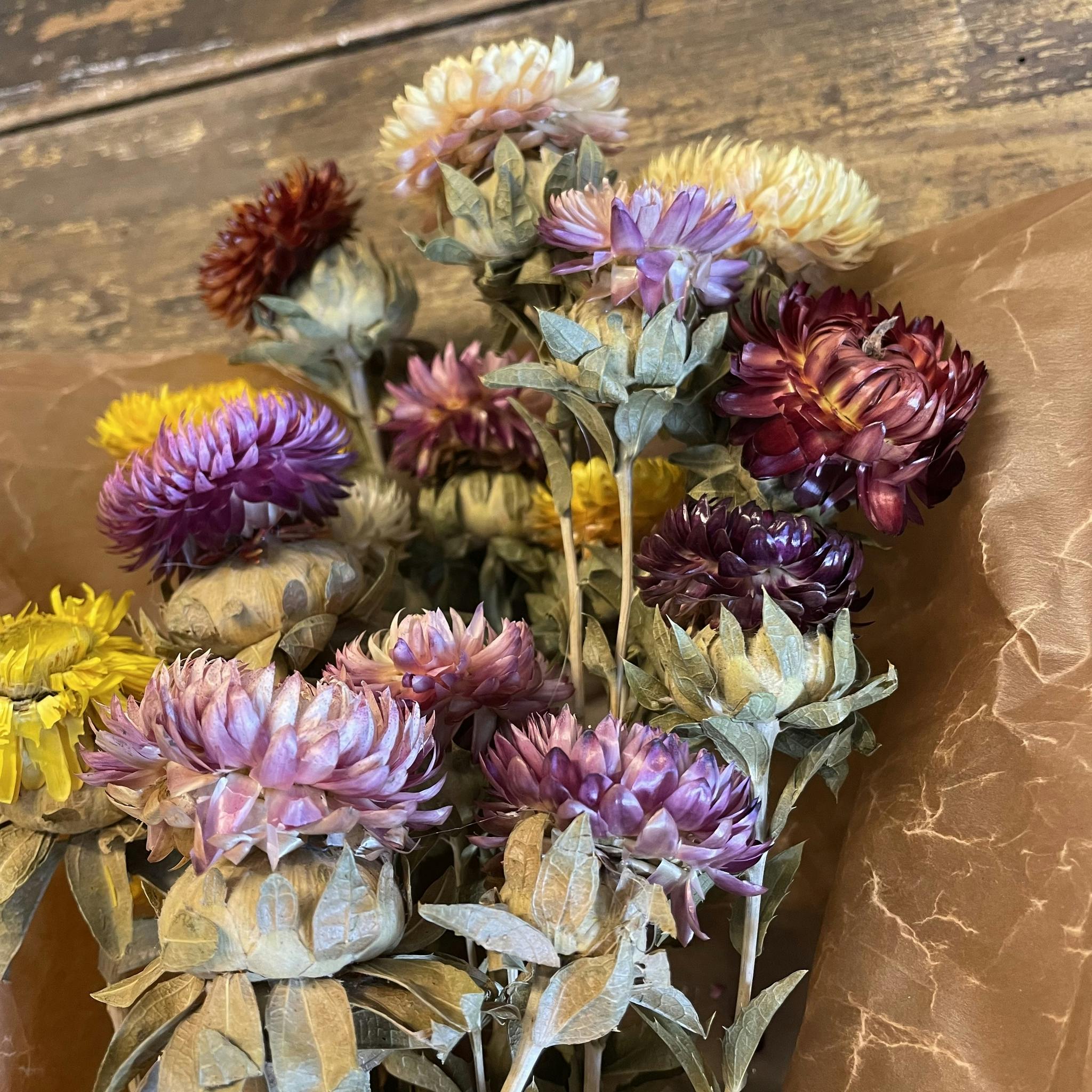 Krysantemum mix 20-pack  - Torkade blommor