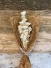 Diosmi Rice Flower, Vit 100gr - Konserverade blommor & blad - Frera Design