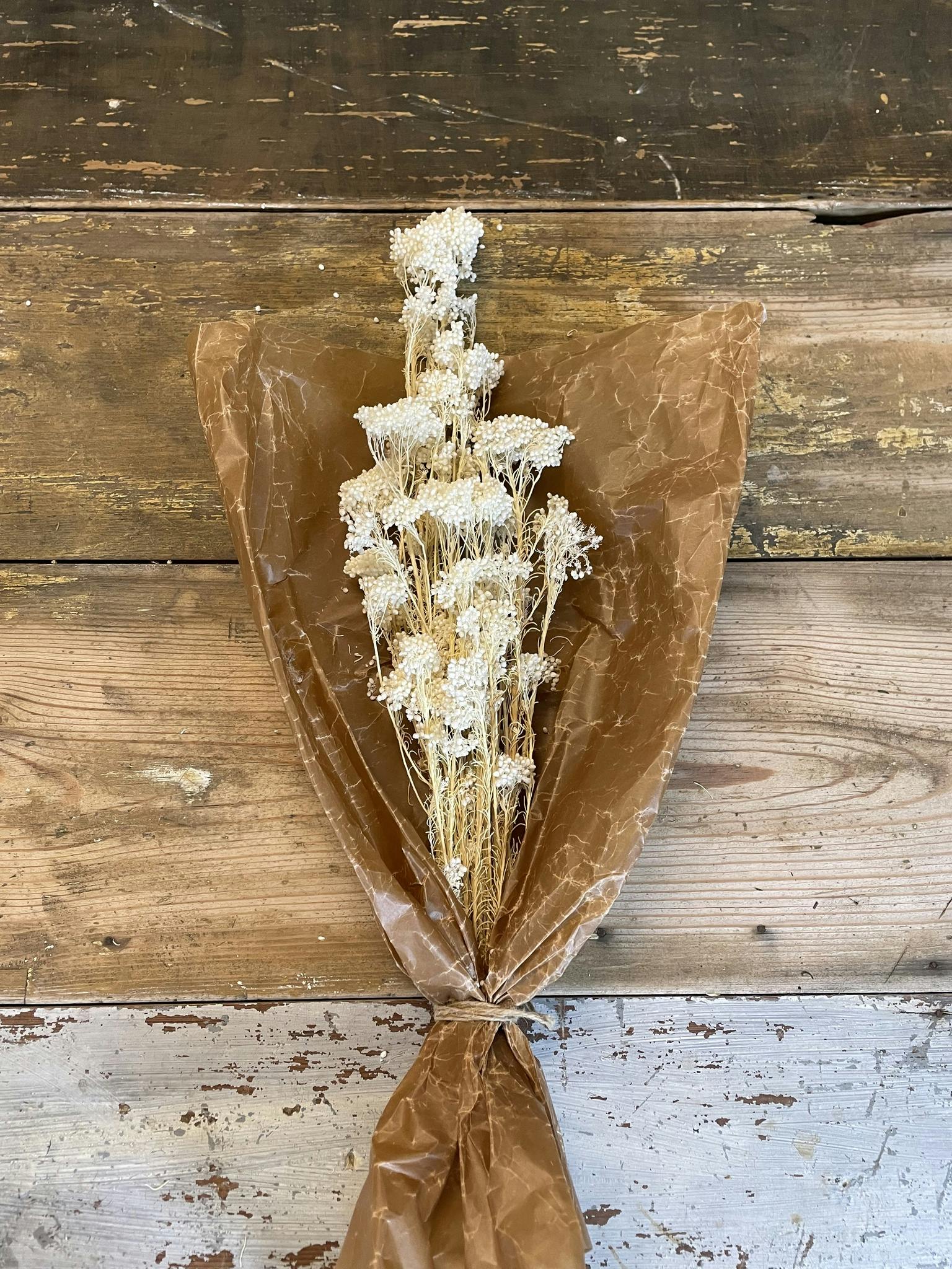 Diosmi Rice Flower, Vit 100gr - Konserverade blommor & blad