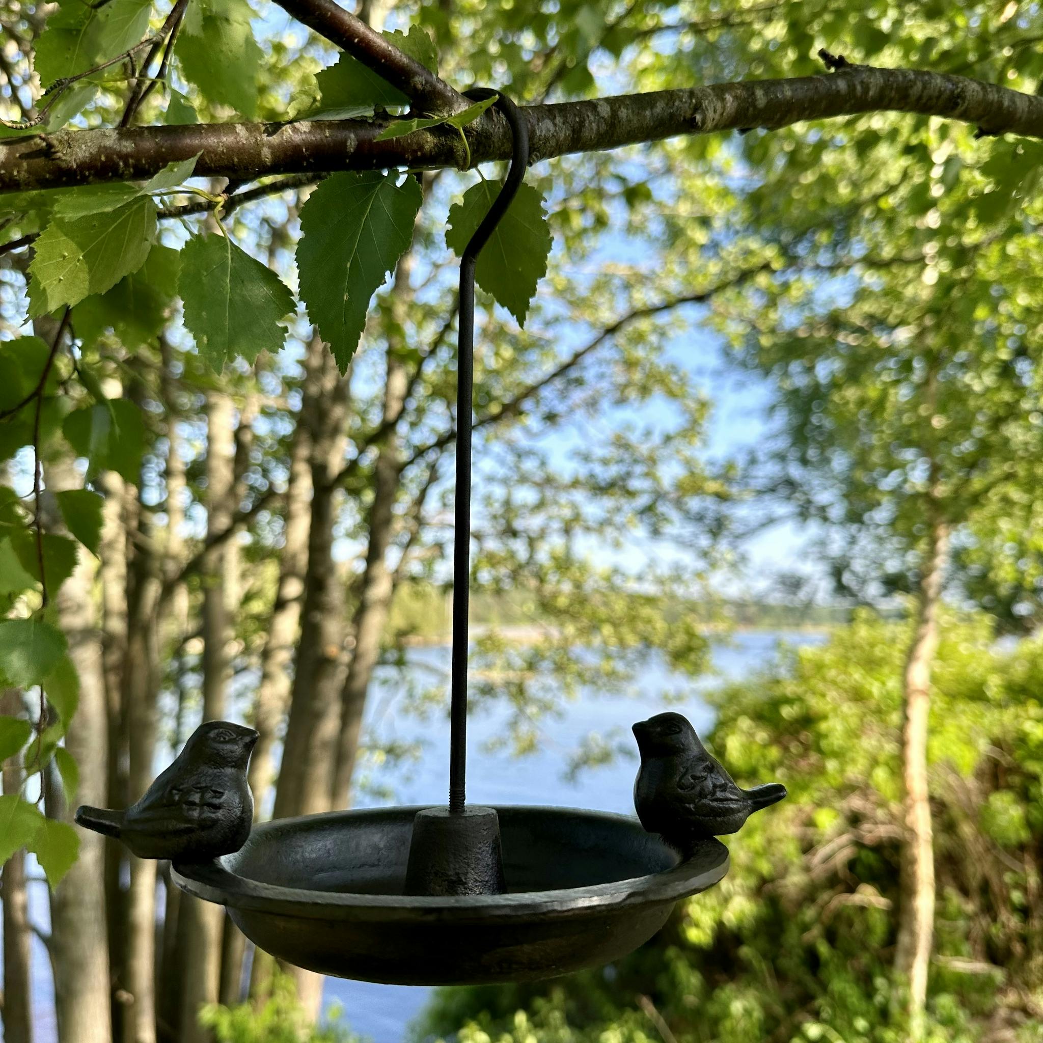 Støpejerns fuglebad - Stjernsund