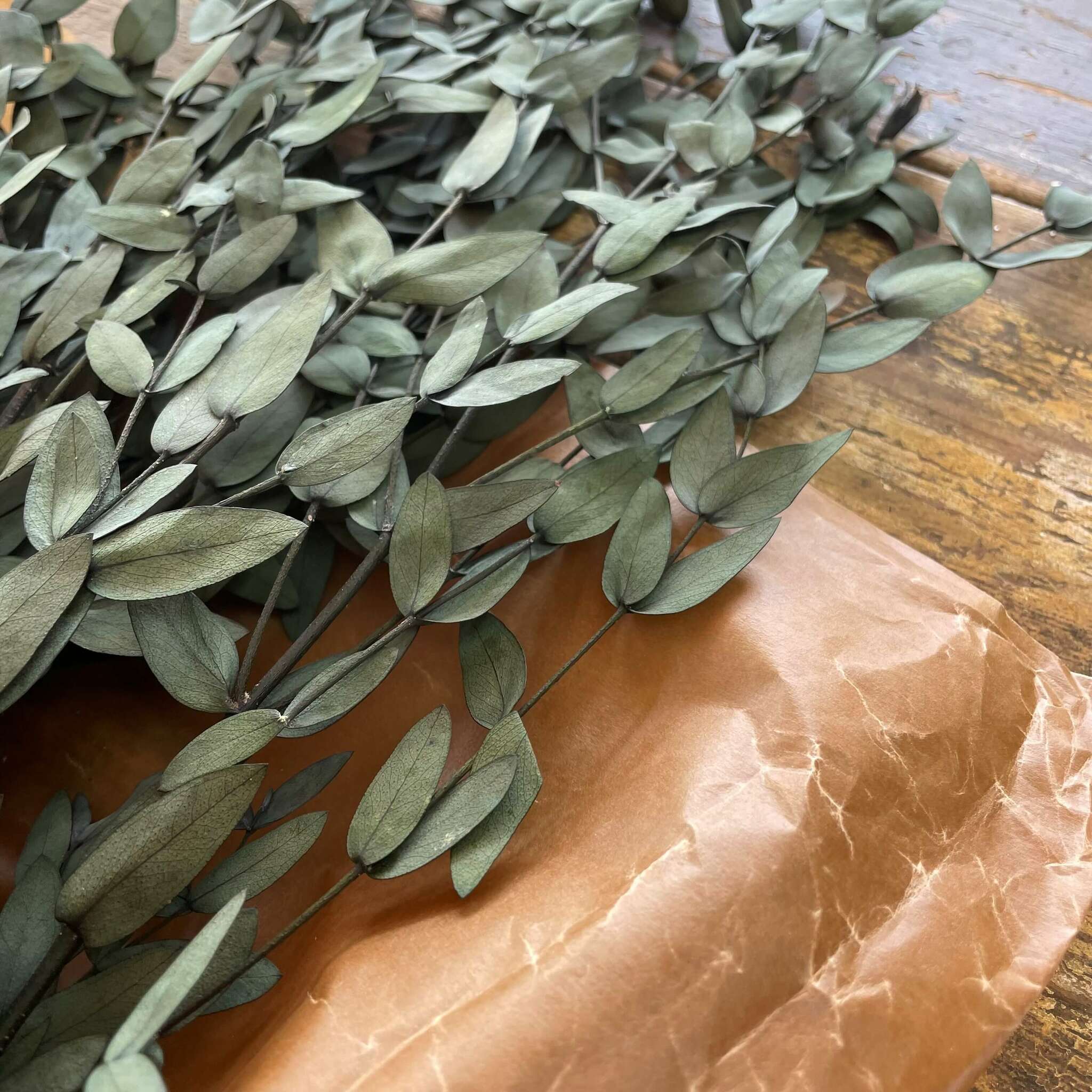 Eucalyptus småbladig grön 100gr - konserverade blommor & blad