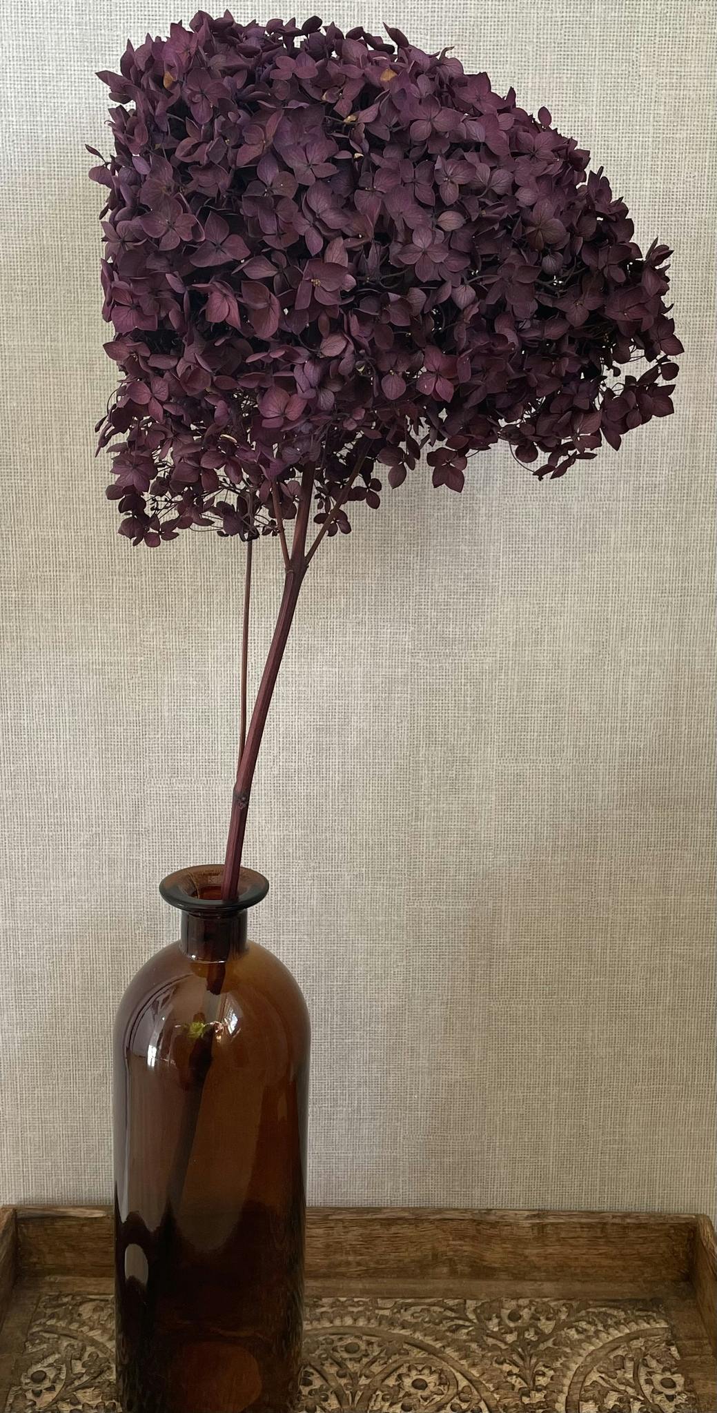 Lila/mörkröd hortensia - Konserverade blommor & blad - Frera Design