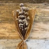 Diosmi Rice Flower, ljusrosa 100gr - Konserverade blommor & blad - Frera Design