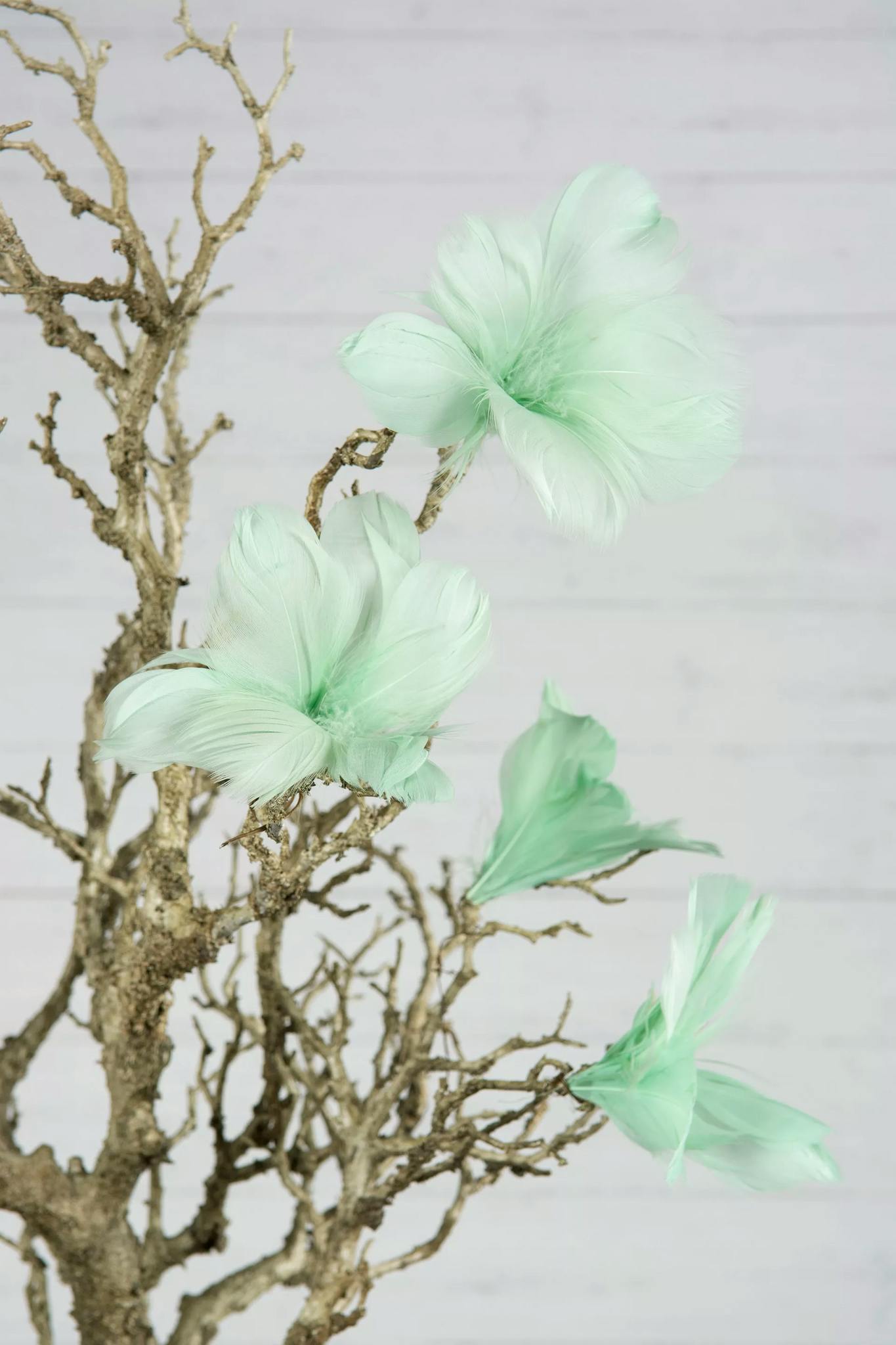 Feather/Thread Flower light turquoise 12 pack - A Lot Decoration
