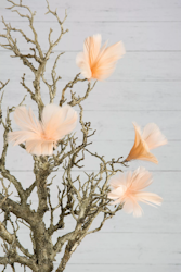 Feather/Thread Flower Light apricot 12 pack - A Lot Decoration