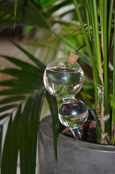 Bevattningsbubbla i glas - A Lot Decoration
