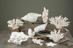 Vit korall, låg - A Lot Decoration