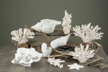 Vit korall, låg - A Lot Decoration