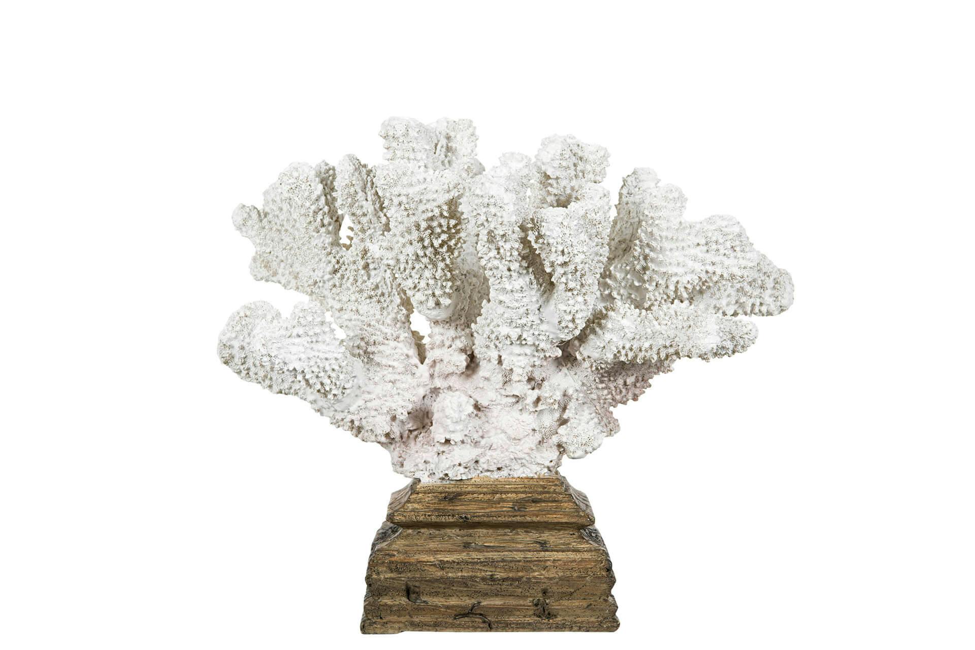 Korall Smoth på träfot - Alot decoration