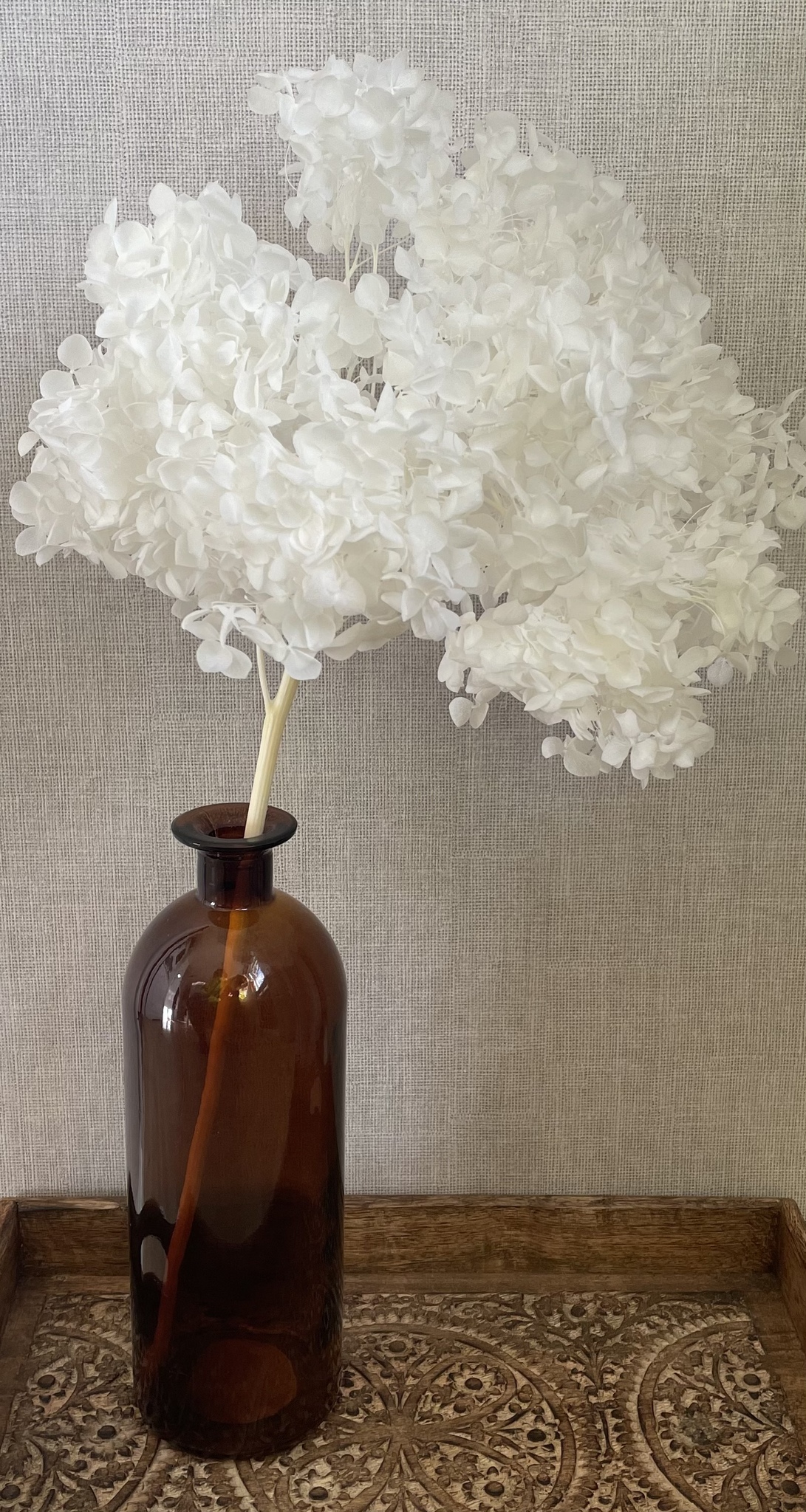 Vit hortensia - Konserverade blommor