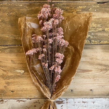 Diosmi risblomst, rosa 100gr - Konserverte blomster og blader - Frera Design