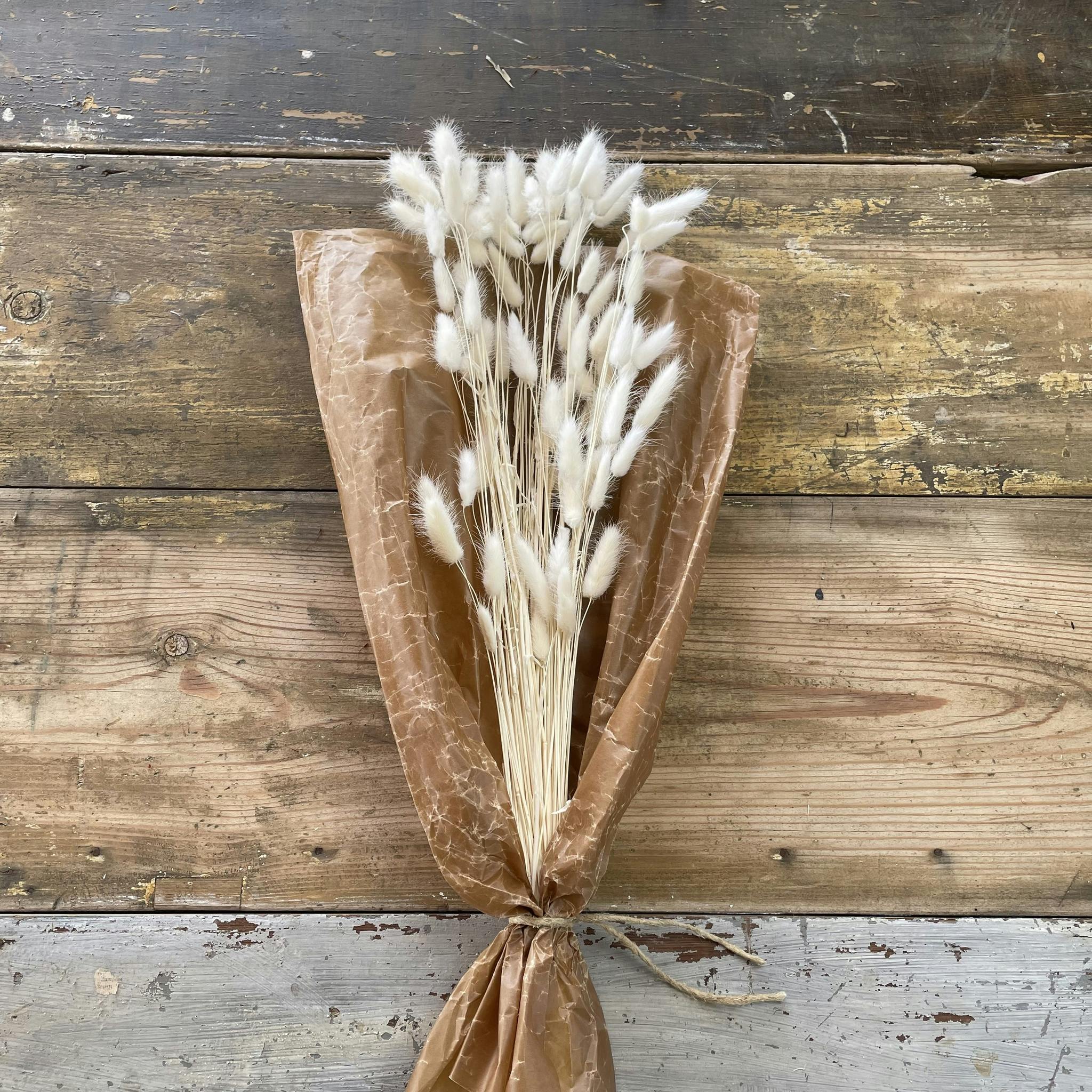 Lagurus/Rabbit tail blekt vit 80gr - Torkade blommor - Frera Design