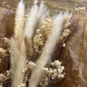 Mix Bukett, Pampasfluffig - Torkade blommor