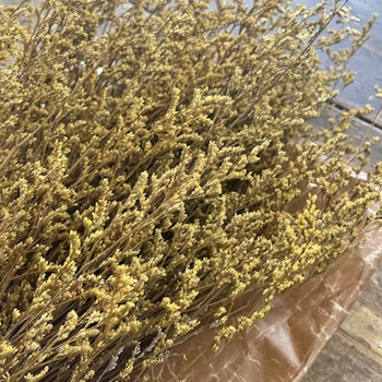 Limonium Lovergrass Gul 120gr - konserverade blommor & blad