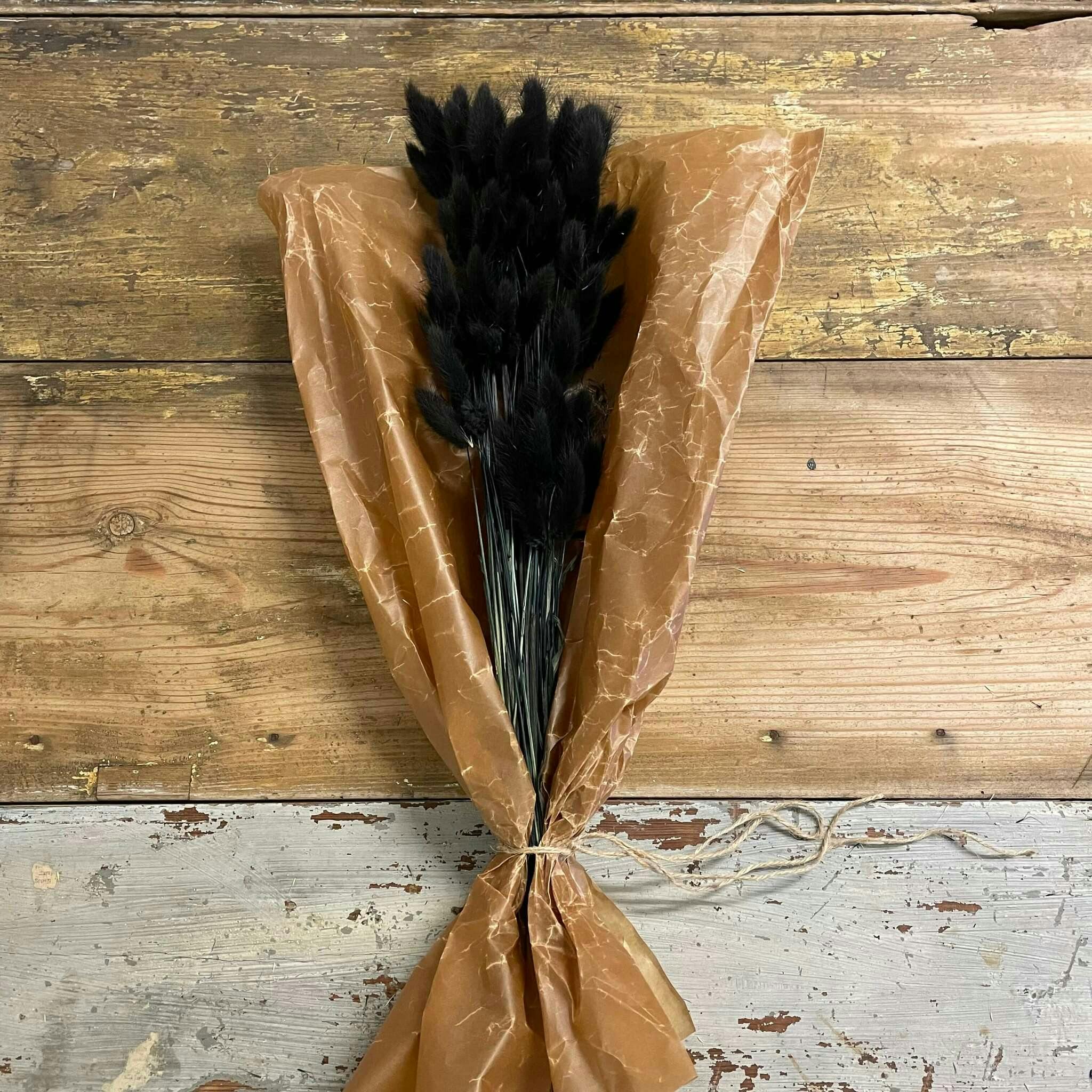 Lagurus Rabbit tail Black 80gr - Tørkede blomster - Frera Design