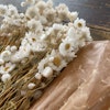 Småblommig bukett vit - Torkade blommor - Frera Design