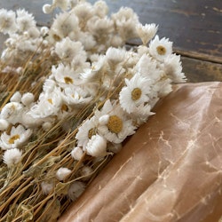 Småblommig bukett vit - Torkade blommor