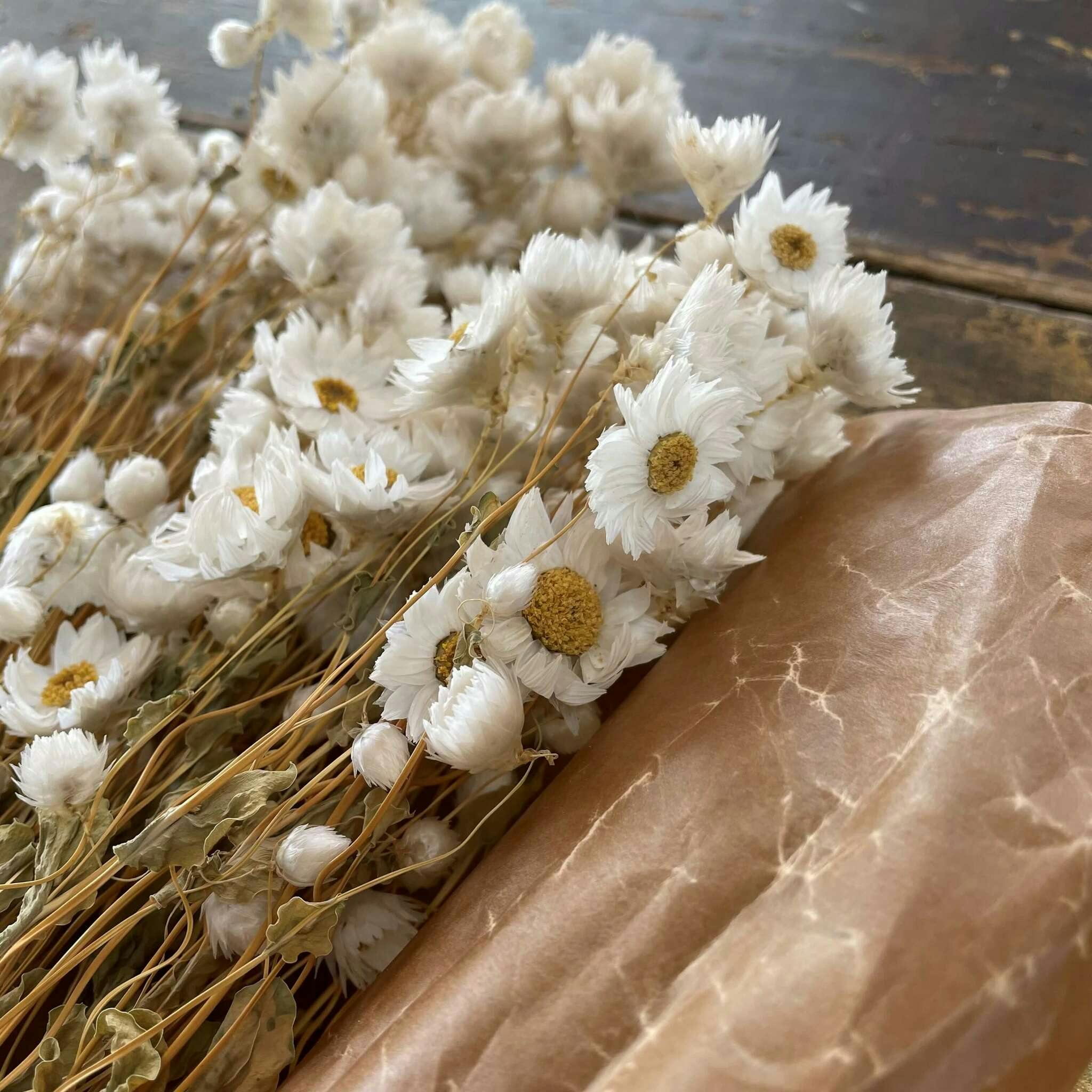 Småblommig bukett vit - Torkade blommor