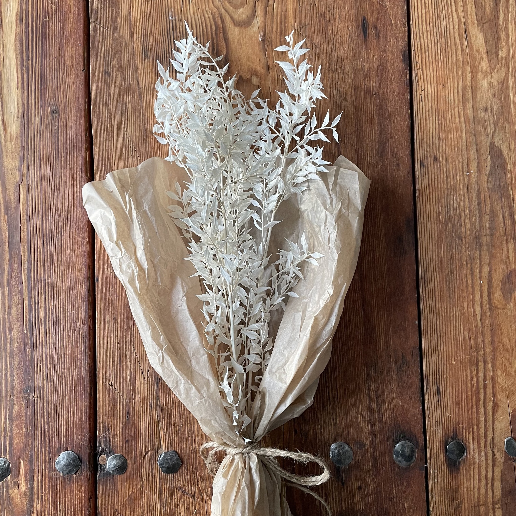 Ruscus blekt vit 100gr - Torkade blommor