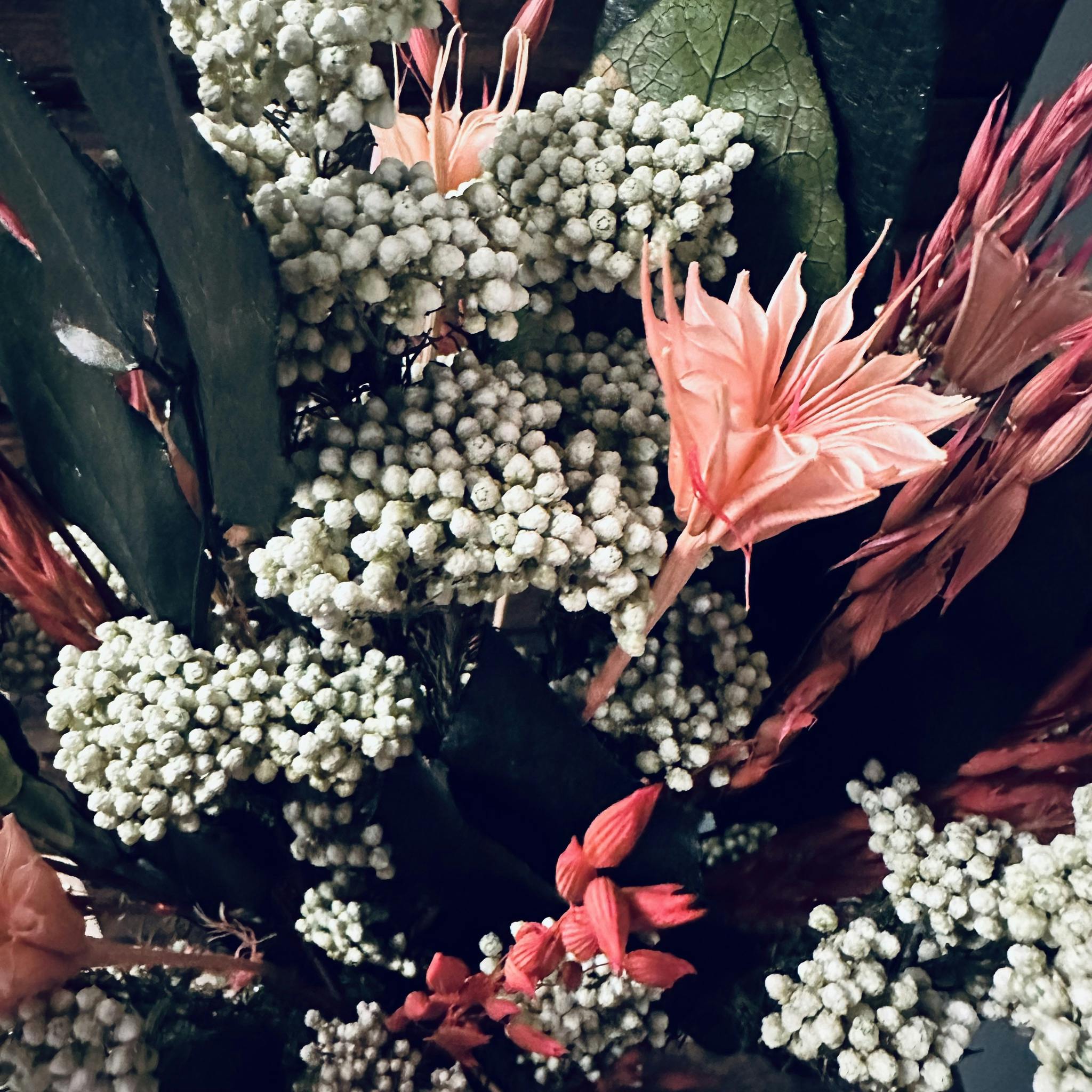 Mix Bouquet Exclusive, Våren kommer - Tørkede blomster - Frera Design