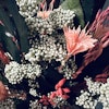 Mix Bouquet Exclusive, Spring is coming - Dried flowers - Frera Design