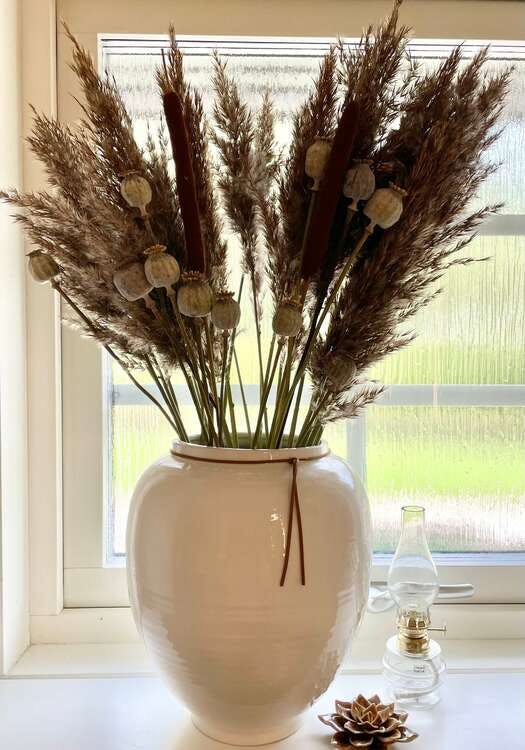 Vasstrå 60cm - Torkade blommor - Frera Design