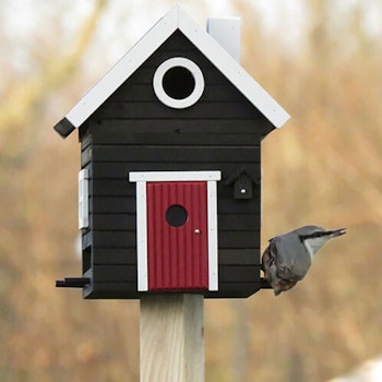 Birdhouse/Feeder, Black - Wildlife Garden