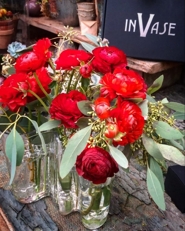 Julblommor med Aaltovasens assistent - InVase