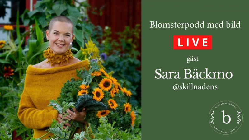 Blomsterpodd med bild - gäst Sara Bäckmo Skillnadens trädgård