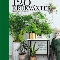120 krukväxter