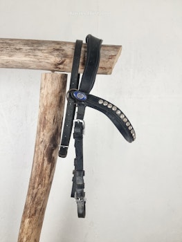 Träns PS svart stl shettis?