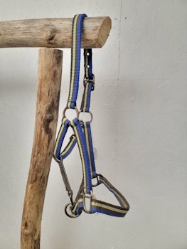 Grimma stl ponny